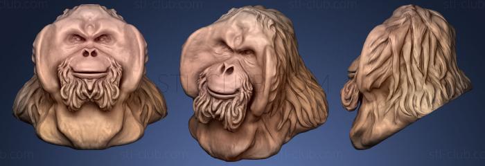 3D model Orangutan (STL)